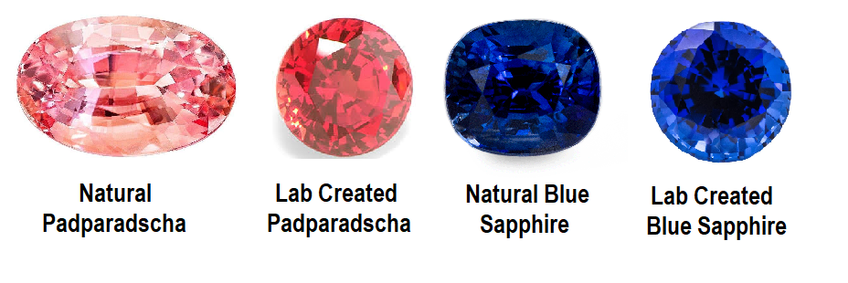 Timeless Elegance: The Best Sapphire Stud Earrings for Every Occasion