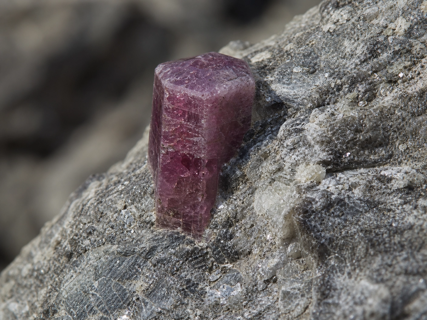 corundum mineral, ruby vs sapphire, gemstone science, mineral composition, ruby, sapphire, corundum, trace elements, geological formation, gemstone