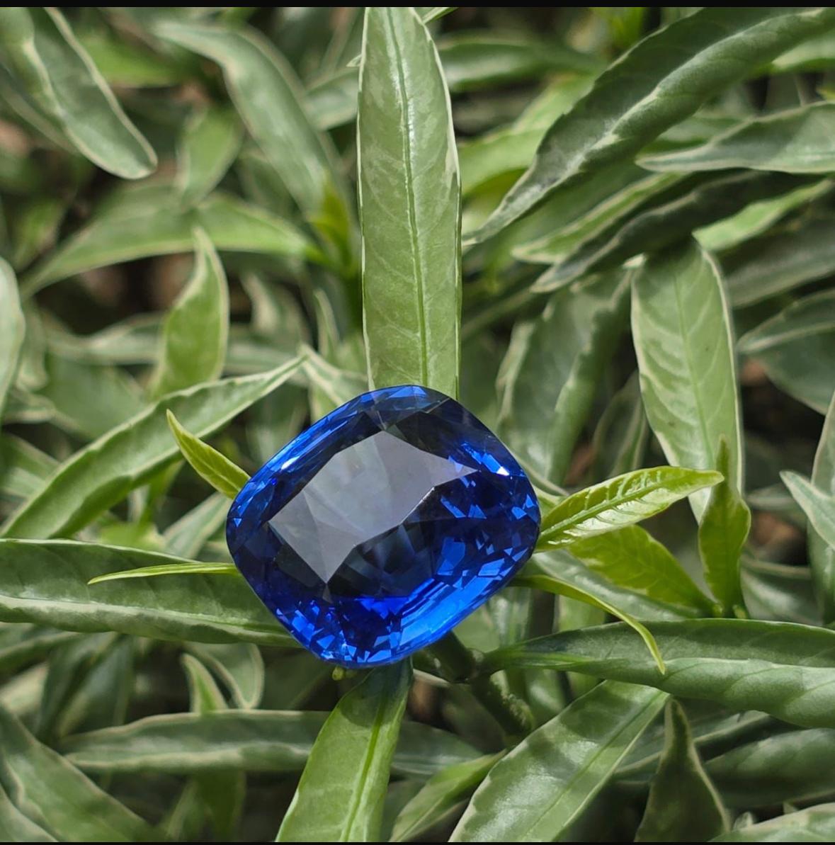 An extraordinary, investment-grade 25-carat Royal Blue Sapphire from Sri Lanka. Featuring a masterfully executed cushion cut that maximizes its deep, vivid blue hue and exceptional brilliance. Perfect for bespoke high-jewelry masterpieces. Sri Lanka Sapphire, 25 Carat Blue Sapphire, Royal Blue Sapphire, Cushion Cut Sapphire, Investment Grade Gemstone, Unheated Blue Sapphire, Oria Gems Exclusive, Ceylon Sapphire, High Jewelry Stone.