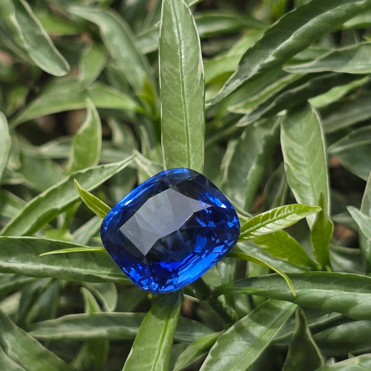 An extraordinary, investment-grade 25-carat Royal Blue Sapphire from Sri Lanka. Featuring a masterfully executed cushion cut that maximizes its deep, vivid blue hue and exceptional brilliance. Perfect for bespoke high-jewelry masterpieces. Sri Lanka Sapphire, 25 Carat Blue Sapphire, Royal Blue Sapphire, Cushion Cut Sapphire, Investment Grade Gemstone, Unheated Blue Sapphire, Oria Gems Exclusive, Ceylon Sapphire, High Jewelry Stone.