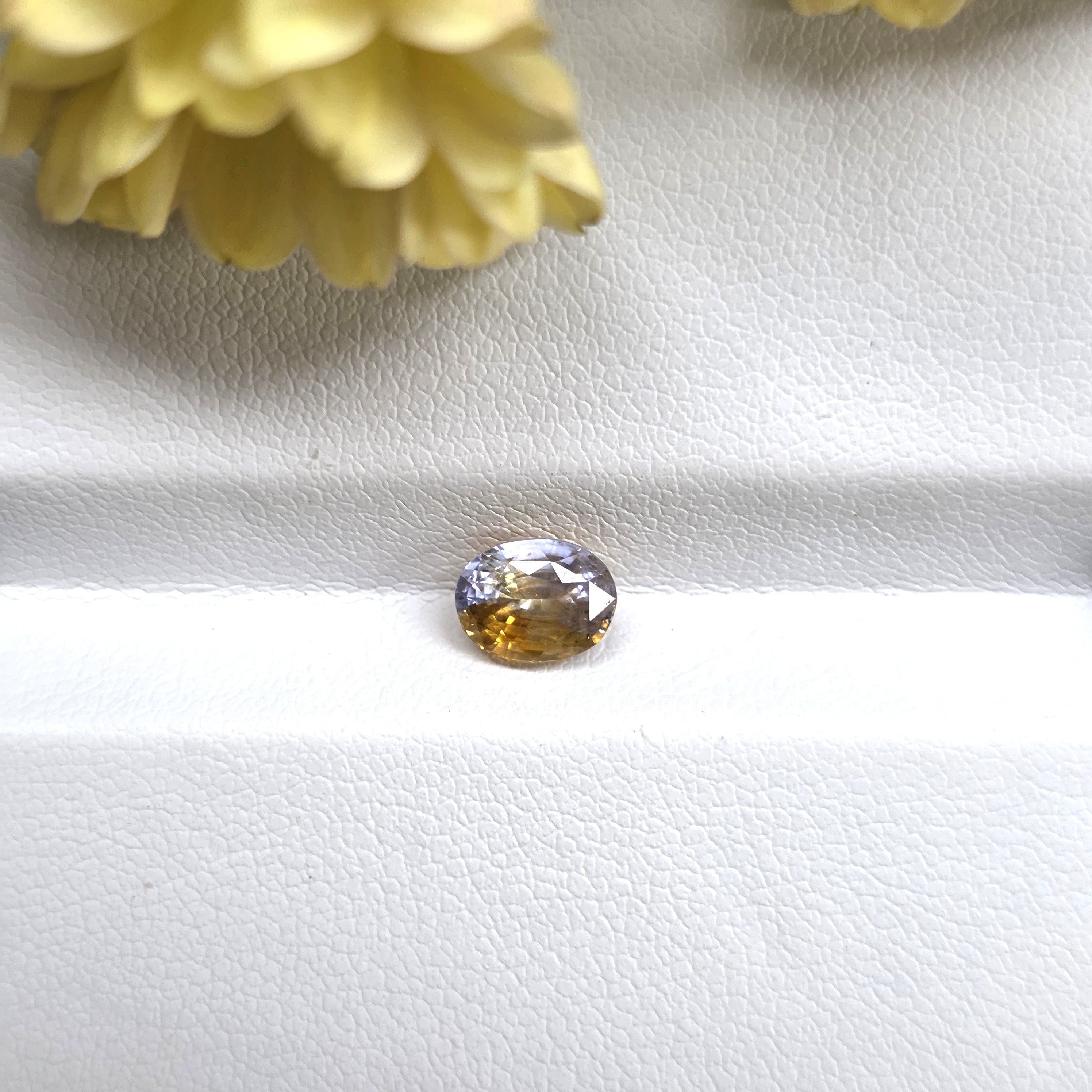 1.45 Ct Natural Bi-Color Sapphire, Cushion, Sri Lanka