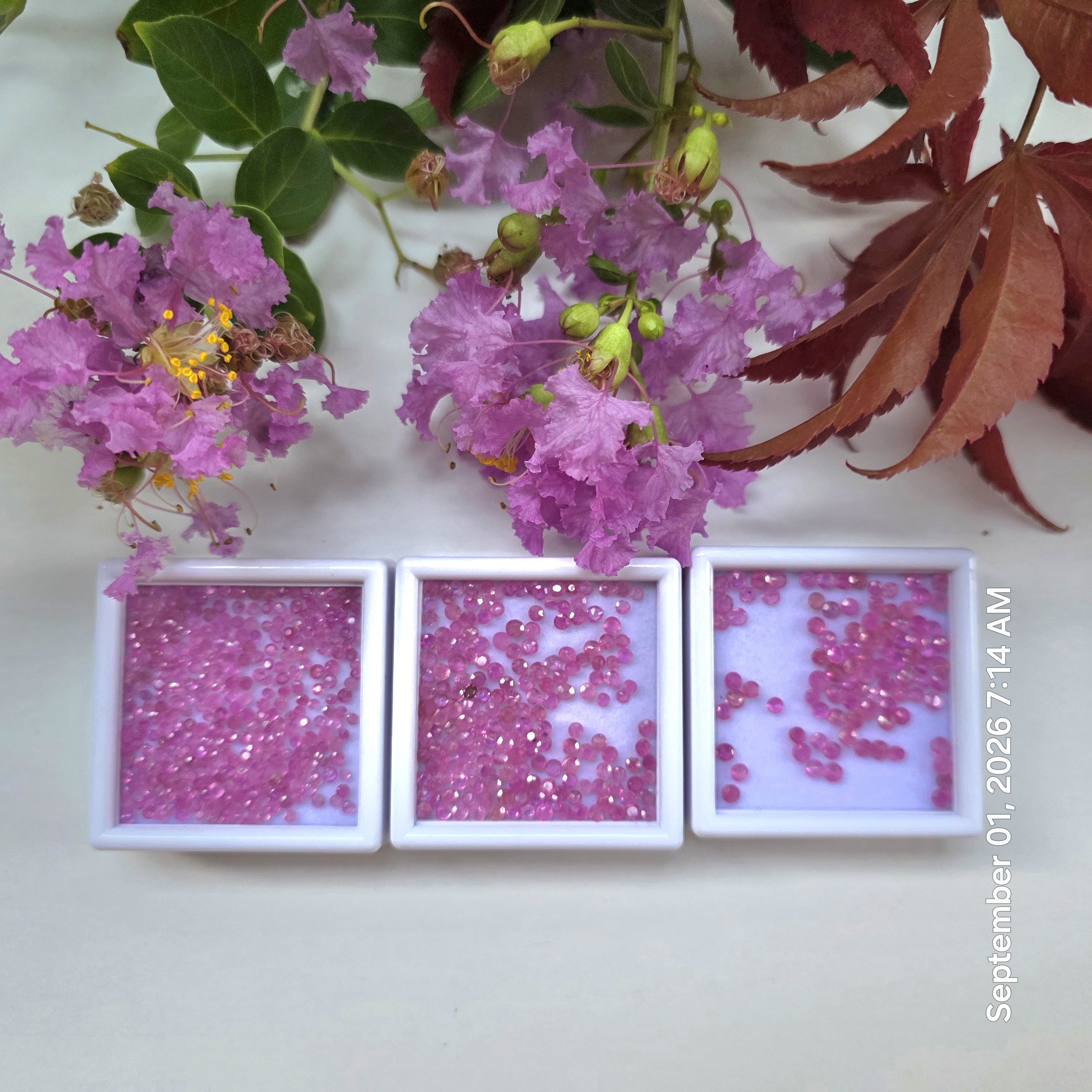 55.65 Ct Natural Unheated Madagascar Ruby Lot, Round, 2–3.5mm, 500 Pcs